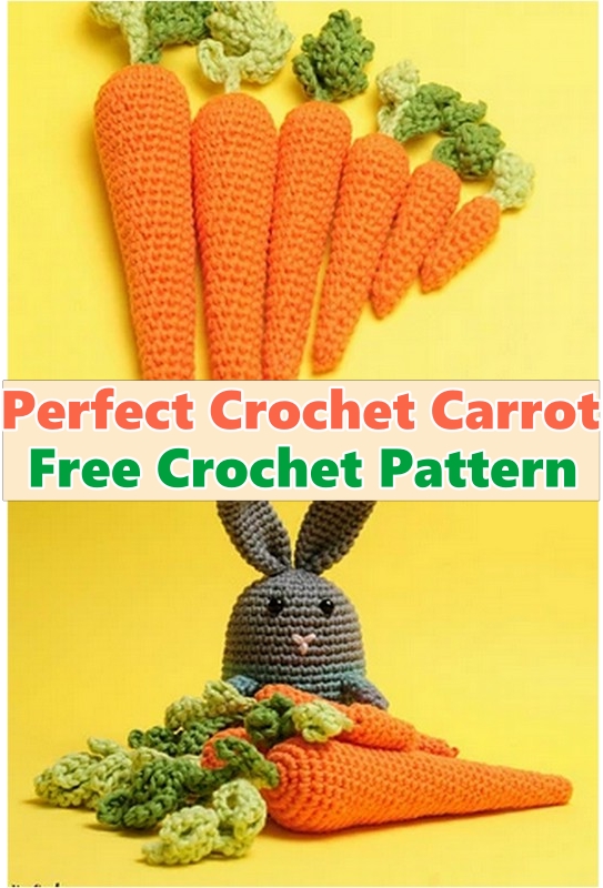 Perfect Crochet Carrot