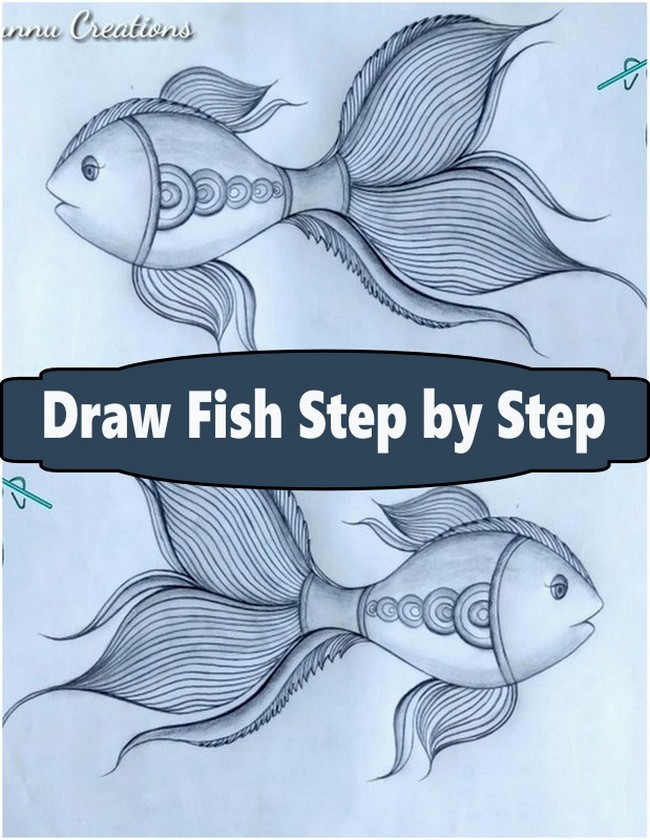 Draw Fish Step by Step 