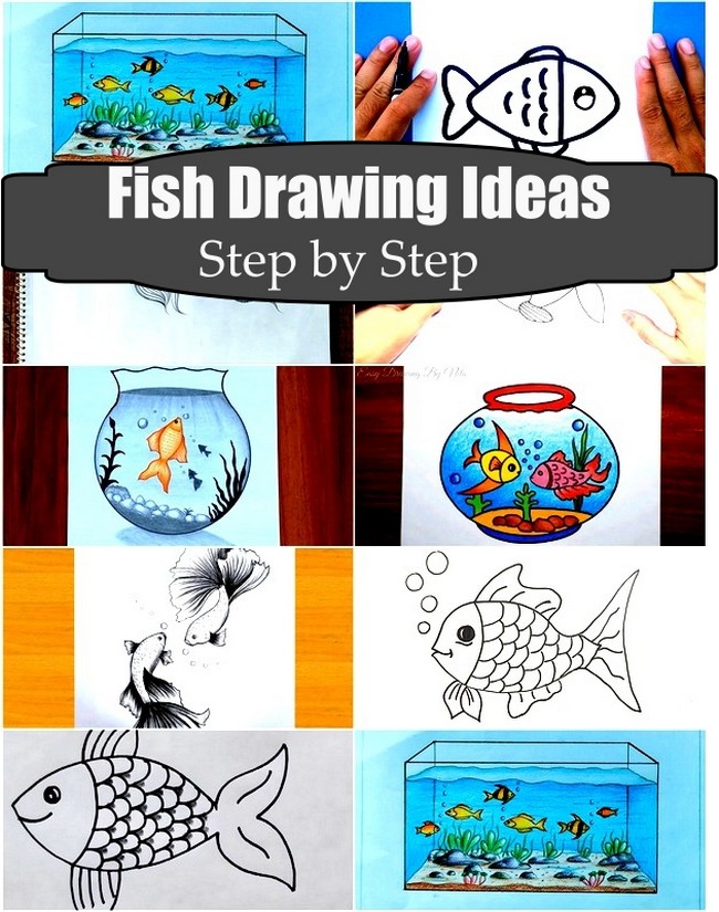 Fish Drawing Ideas Step by Step 