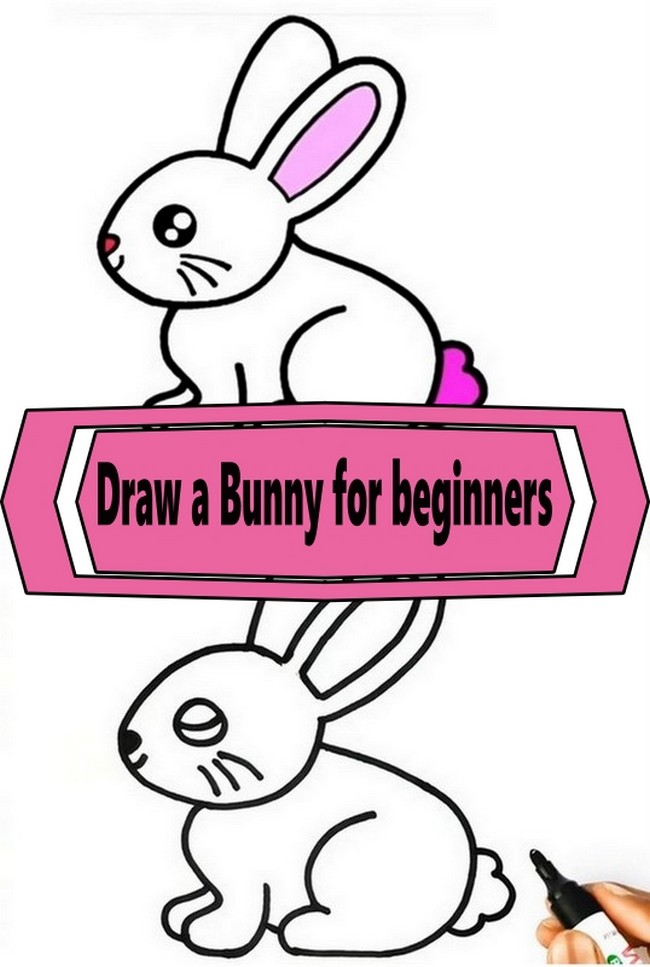 Draw a Bunny for Beginners