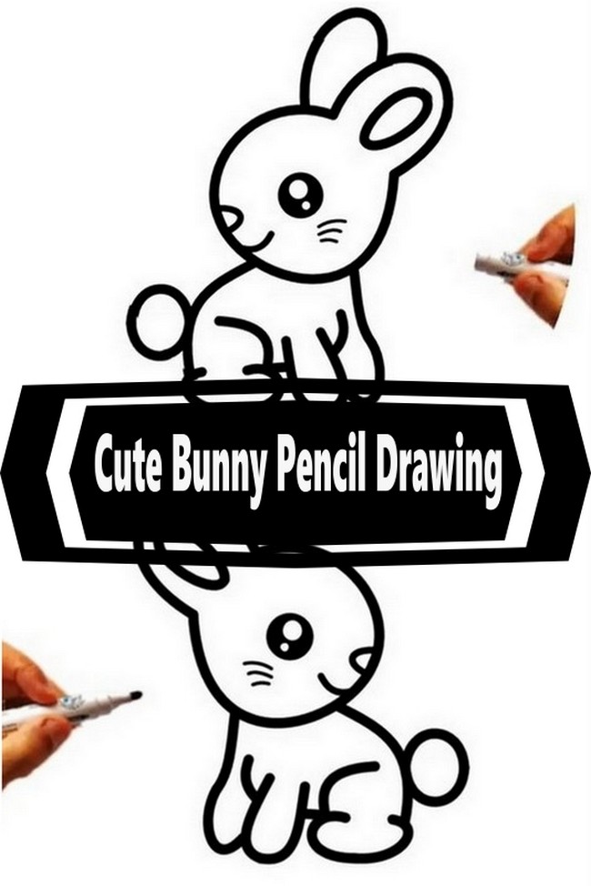 Cute Bunny Pencil Drawing Ideas