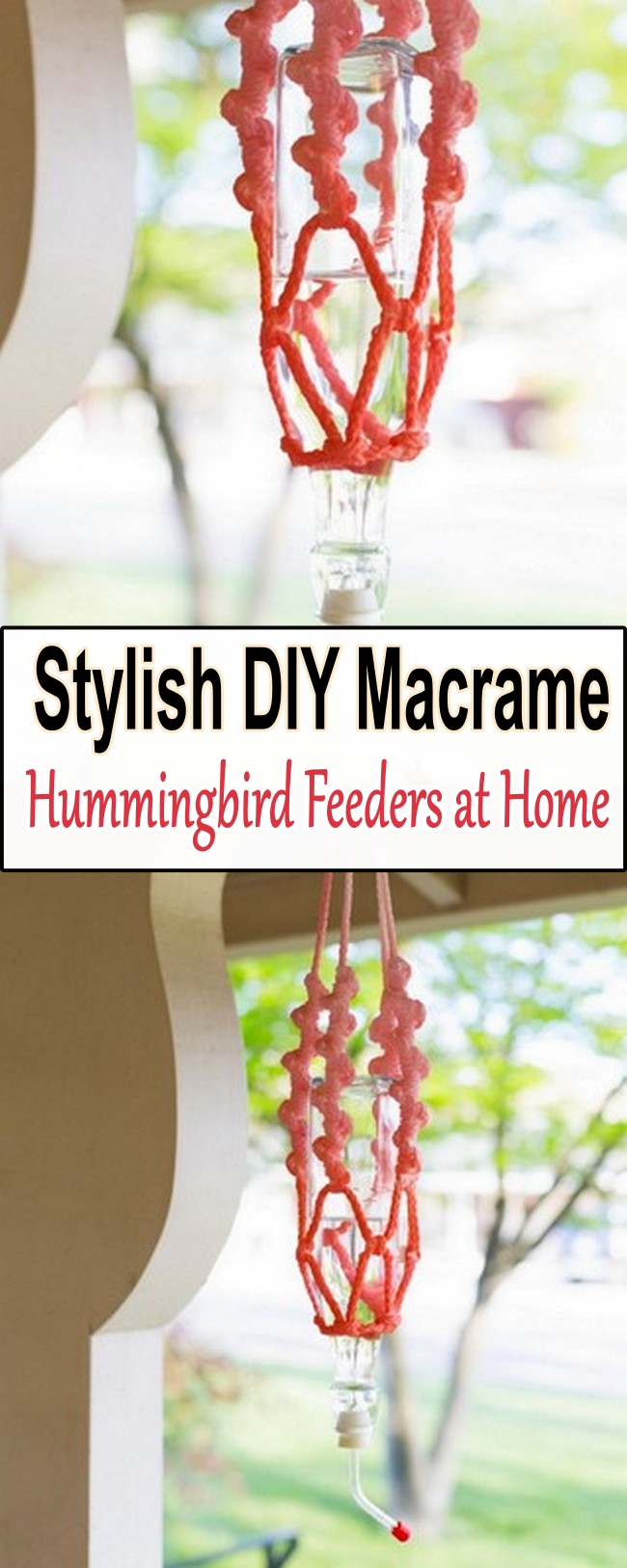 Stylish DIY Macrame Hummingbird Feeders at Home