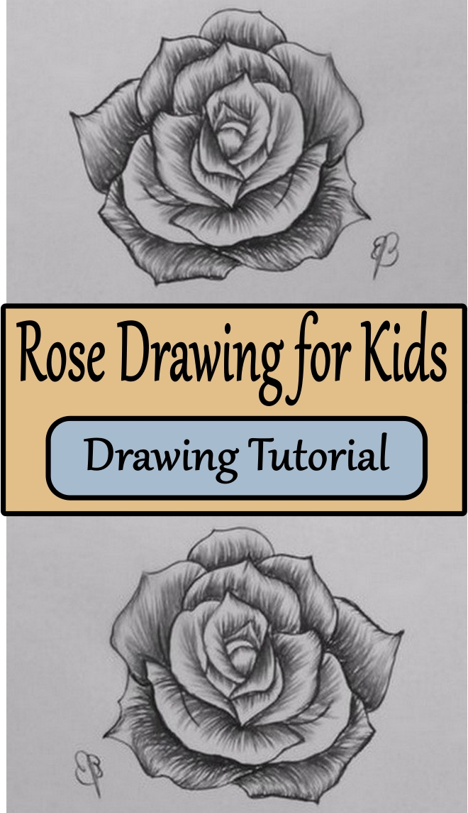 Rose Drawing for Kids